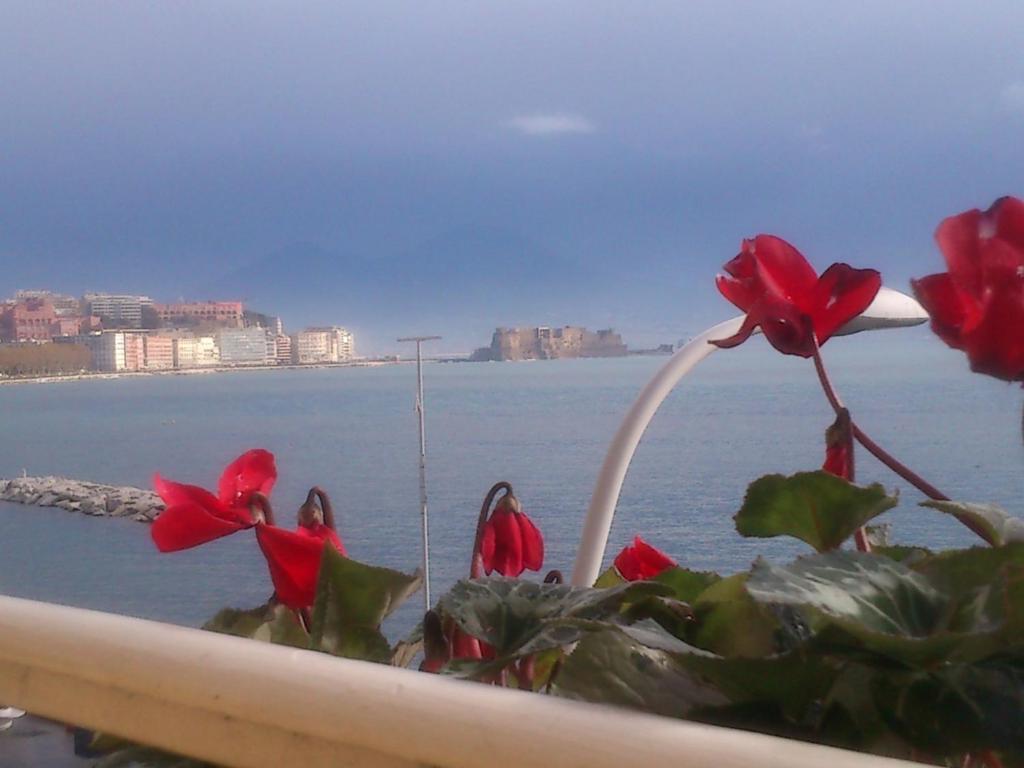 Platamon Couette-café Naples